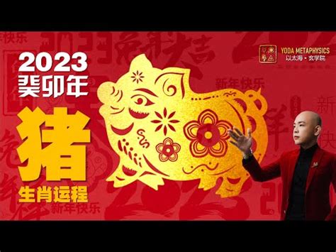 屬豬 2023|豬運勢 2023 年預測：投資帶來豐厚利潤